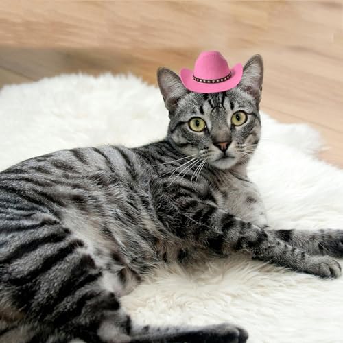 AWOCAN Cowboyhut für Hunde, Katzen, Cowboyhut, Mini-Cowboyhut für Hunde, Katzen, Urlaub, Halloween, Haustier-Party-Dekoration (Rosa, klein)