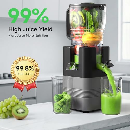 400W Cold Press Juicer, 5.8" Wide Feed Chute Slow Masticating Juicer Machines for Whole Fruits & Vegetables | High Juice Yield, Easy to Clean | Valentine's Day Gift Ideas for Women (Dark gray) - Image 5
