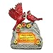 Collections Etc Solar Lit Cardinal Memorial Garden Decoration