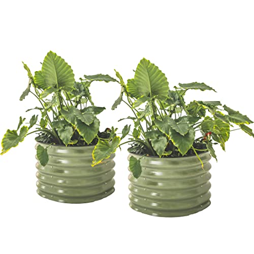 Vego garden 17