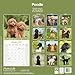 Poodle 2026 Calendar | Square Wall Calendar | Dog Breed Gift | Plastic Free Packaging | by Avonside Publishing