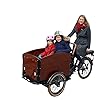 cozytrikes Cargo Tricycle - Classic Electric Dutch Trike | 500W Motor & LCD Display | Perfect for Groceries & Transpotation | Electric Bike for Adults #2
