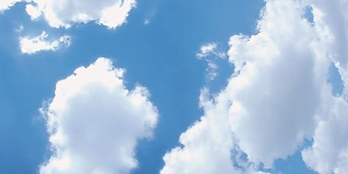 FP FLUOROLITEPLASTICS WE'VE GOT YOU COVERED Fluorolite Plastics Fluffy Clouds Scenic Reemplazo Suspendido Techo Inserto 22 12" x 46 12"