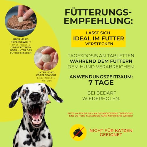 ADEMA NATURAL® Wormilex - Wurmkur sekundierend für Hunde - Wurmmittel sekundierende Tabletten - Pflanzliche Rezeptur ohne Zusätze - Futterzusatzmittel Hund
