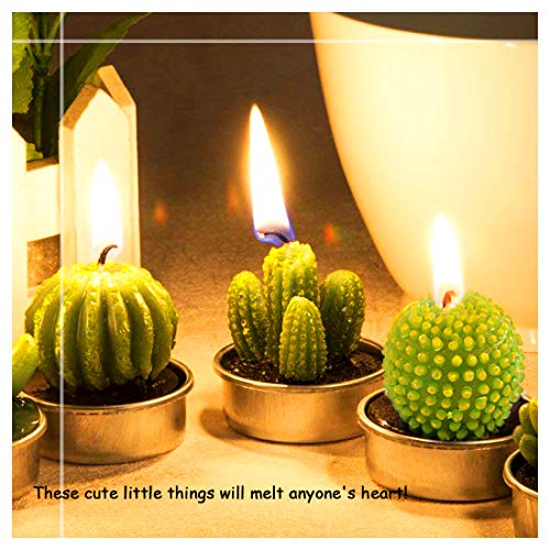 Swpeet 12Pcs Decorative Succulent Cactus Tealight Candles Kit, Cute Smokeless Succulent Plants Perfect For Candles Festival Wedding Props And House-Warming Party (N0.7-Candle) #TOP3