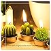 Swpeet 12Pcs Decorative Succulent Cactus Tealight Candles Kit, Cute Smokeless Succulent Plants Perfect for Candles Festival Wedding Props and House-Warming Party (N0.7-Candle)