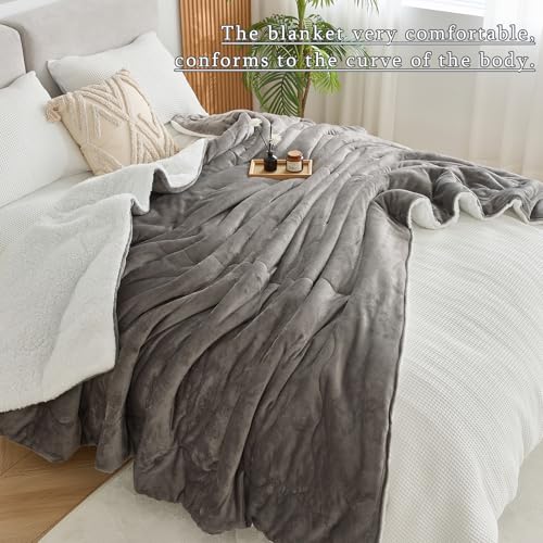 CHOSHOME Sherpa Fleece Blanket- Thick Warm Blanket for Winter, Soft Fuzzy Plush Blanket for Bed, Couch, Travel (Light Grey, Twin 60" x 80")