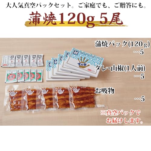 ての字 うなぎ蒲焼 冷凍真空パック 120g×5セット の商品画像 2