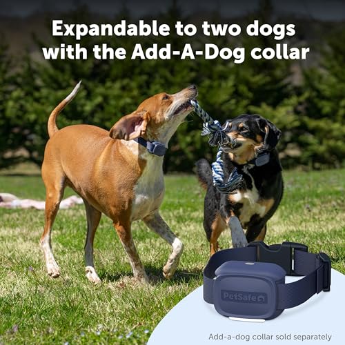 PetSafe Core Dog Trainer Remote Collar, 1000 Ft Range, 15 Static Levels | Tone/Vibration//15 Levels of Static, Waterproof Collar, 1000-Ft Range for Off-Leash Obedience Training - image 8