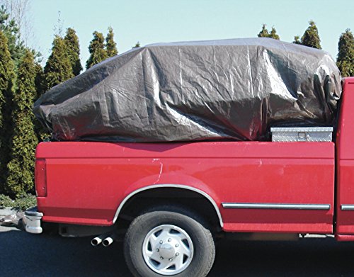 Foremost Tarp 90068 Economy Tarp, 6x8 Feet, Brown/Green