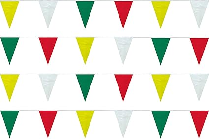 picture Green Triangle Red Yellow Blue White Flag amazon com