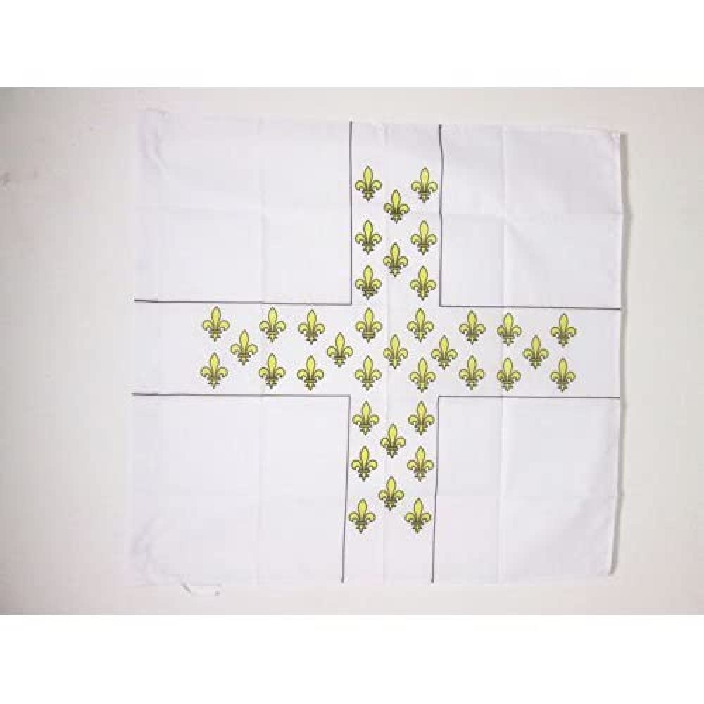 French Empire Infantry Regiment Colonel Armagnac 1776-1791 Flag 3' x 3' for a pole, Army of France flags 90 x 90 cm