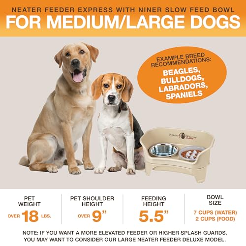 image for Neater Feeder Express Mess Proof Dog Bowls Elevated for Medium and Lar