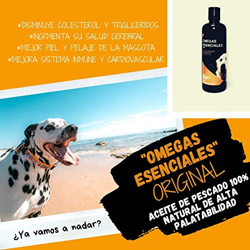 Aceites, Imagen adicional