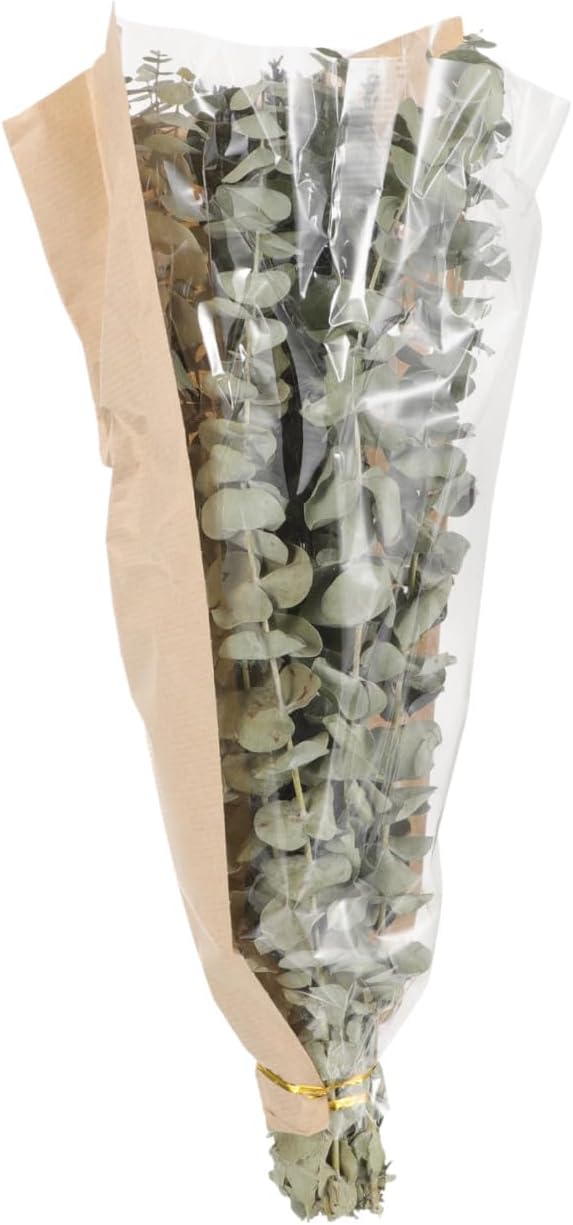 Eucalyptus and Lavender Dried Bouquet for Shower 12 Fresh Eucalyptus Leaves and 40g Lavender, Natural Aromatic Shower Decor for Bathroom and Home