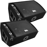 Algopix Similar Product 16 - Seismic Audio  FL12MPPWPair  Pair