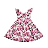fioukiay Toddler Baby Girls Floral Casual Dresses Clothes Holiday Beach Sundress Skirts Spring...