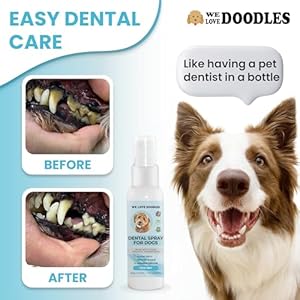 Welovedoodlesdogdentalsprayorganicdentalsolutionsplaquetartarcontrolspraynaturaloralcaredogforhealthyteethgumsfreshensbreathspray4oz Urban Country Home Decor We love doodles dog dental spray organic dental solutions plaque tartar control spray natural oral care dog for healthy teeth gums freshens breath spray 4oz urban country home decor