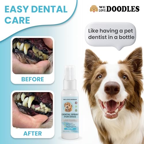 Welovedoodlesdogdentalsprayorganicdentalsolutionsplaquetartarcontrolspraynaturaloralcaredogforhealthyteethgumsfreshensbreathspray4oz Urban Country Home Decor We love doodles dog dental spray organic dental solutions plaque tartar control spray natural oral care dog for healthy teeth gums freshens breath spray 4oz urban country home decor