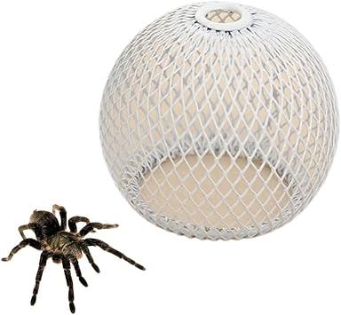 Jumping Spider Hide Enclosure Habitat with Decoration Anlter Pet Spider Hideout Nest Climbing Toys White