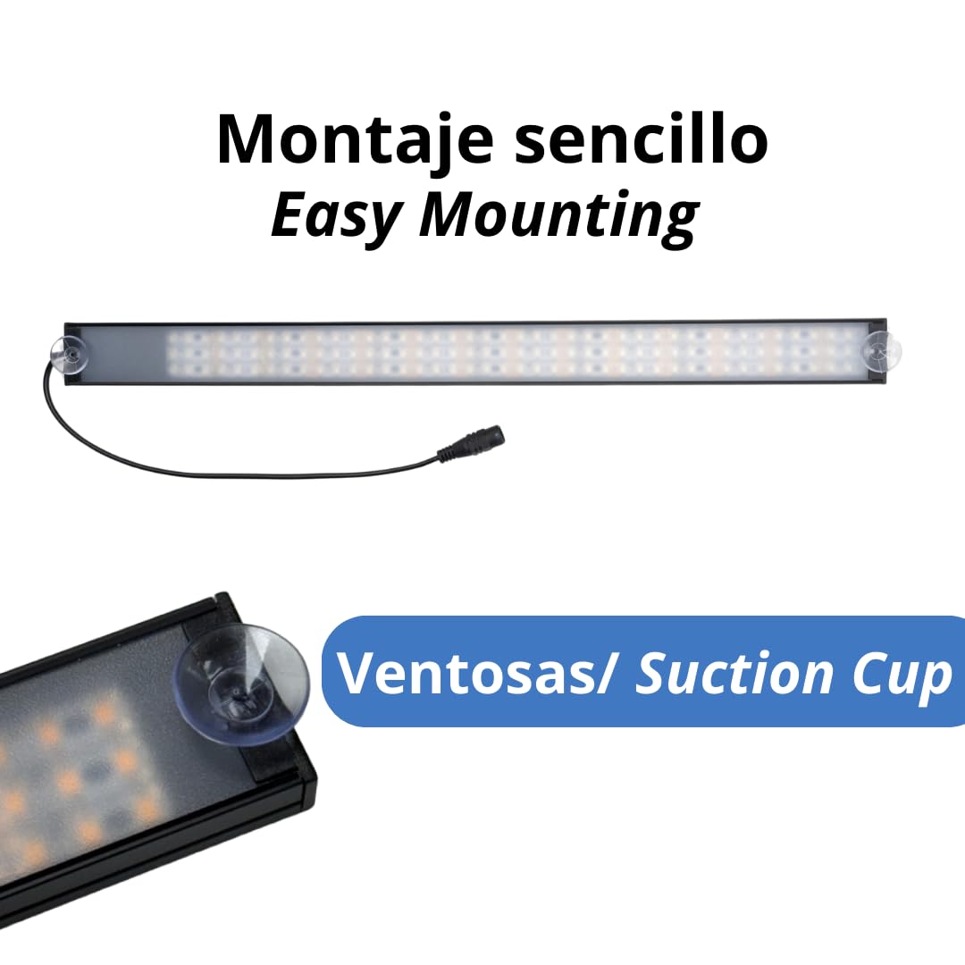 Bandera LED 12-24V 4 Azules 3 Rojos Personalizada Barcelona para Vehiculo