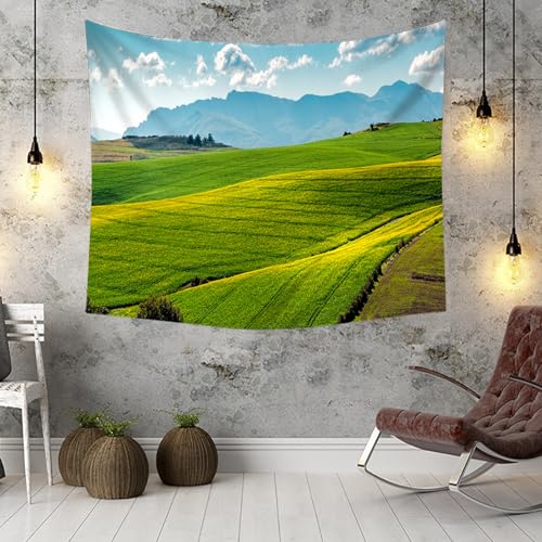Tenture murale paysage pour masquer un mur vide et decorer le salon - 3