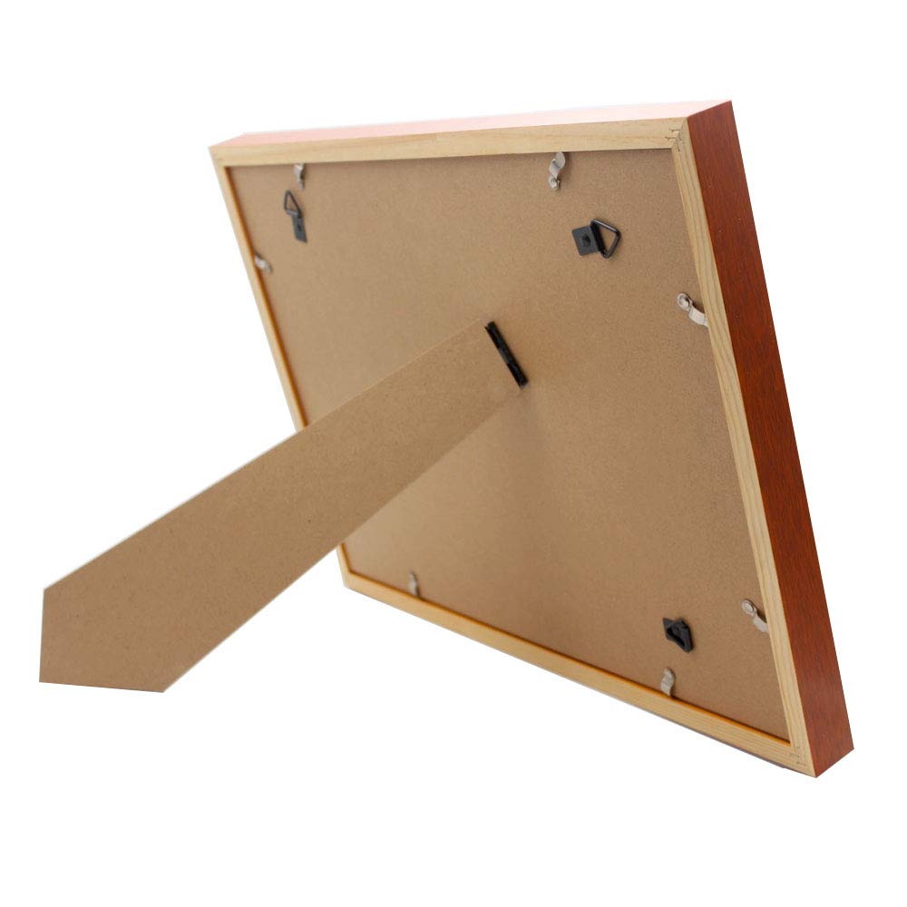 Vitrine de 10 Pouces pour médailles Militaires, médailles de Collection, insignes et Rubans, avec Protection UV.