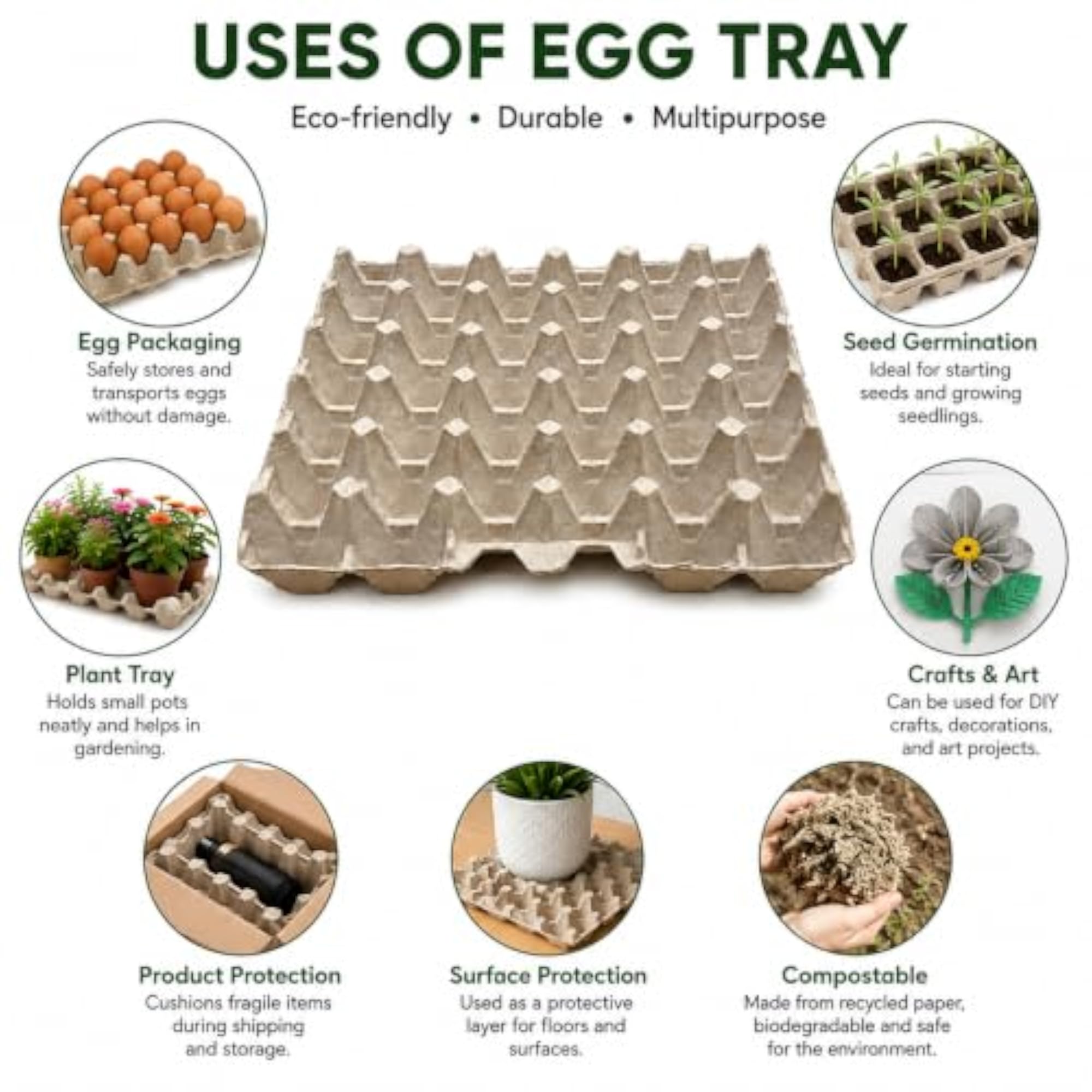Reusable Biodegradable Paper Pulp Egg Storage Tray for 30 Eggs