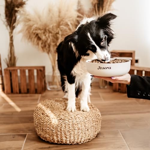 JosiDog Game in Sauce (12 x 415 g) | Adult | Premium Nassfutter für ausgewachsene Hunde | mit Wild in Sauce mit Vitamin D3 & E | Powered by JOSERA | Hundefutter nass | Alleinfutter | 12er Pack