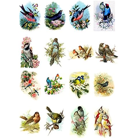 Decoupage Paper Pack (20 Sheets 10x15cm) Beautiful Birds FLONZ Vintage Paper Cover
