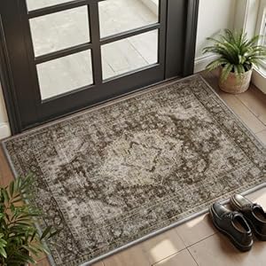 AMOAMI-2X3 Small Rug-Washable Rugs Entryway Mat Indoor-Soft Vintage Non Slip Rugs for Kitchen Laundry Room Bathroom Brown/Coffee Decorative Accent Rug for in Front of Sink 24 Inch x36 Inch C