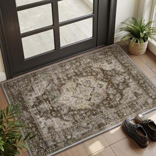 AMOAMI 2x3 Small Rug Washable Entryway Mat Non-Slip
