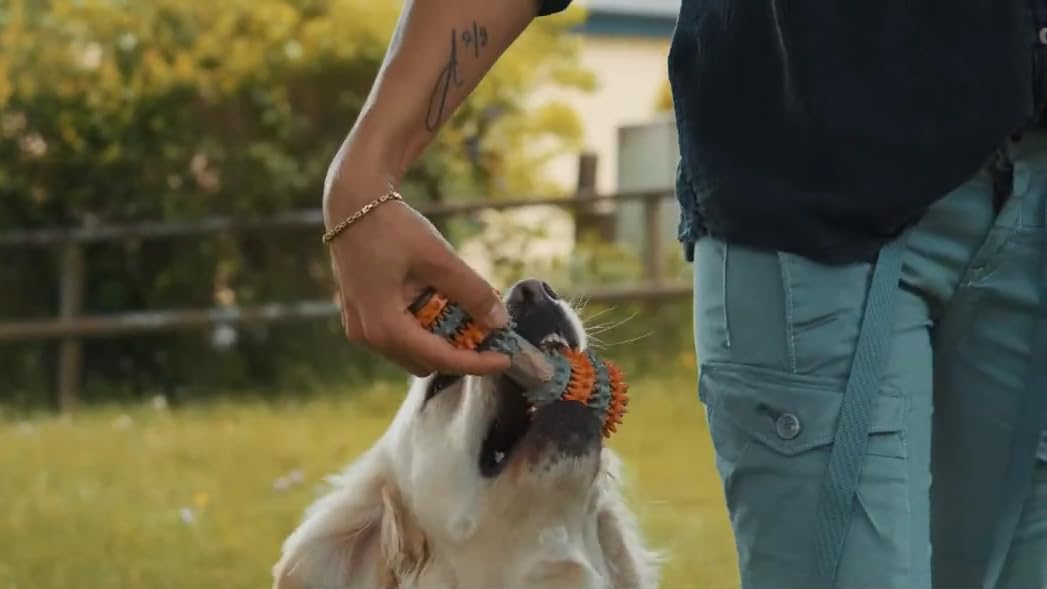Juguete masticable de goma, juguete de limpieza bucal para perros, juguete de dentición, juguete para perros