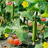 EINFACHE INSTALLATION - Durch vier flexible Befestigungsringe kann das rankhilfe schnell in Gewächshaus, Folientunnel, Gärten und Balkonen installiert werden. Die mitgelieferten Clips und Bindern können Ihnen auch bei der Befestigung der Pflanzen helfen. Komm und baue deinen schönen Garten!