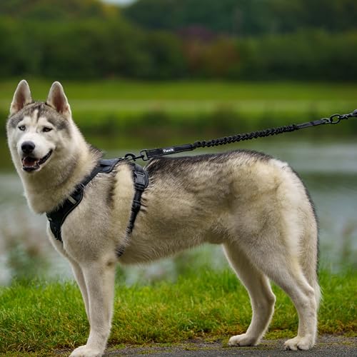 Floxik Ruckdämpfer Hund groß | stark | Elastische, robuste Leinenverlängerung für Jede Hundeleine - ideal zum Spazierengehen, Joggen und Radfahren