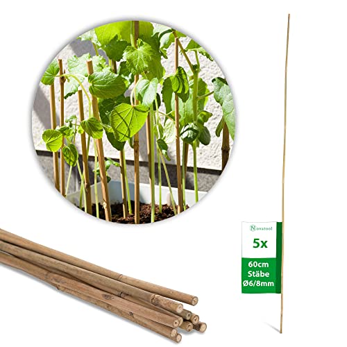 Novatool 5 Stück Tonkinstäbe 60 cm I ø 6-8 mm I Braun I Tonkinstab Rankhilfe Bambus Stab Bambusstäbe Bambusstange Bambusstöcke Pflanzenstütze Pflanzstab
