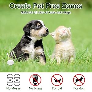 24-Pack-Outdoor-Cat-Repellent-Dog-Repellent-Peppermint-Oil-to-Repel-Cats-and-Dogs-from-Peeing-Natural-Dog-Cat-Deterrent-Keep-Cats-Dogs-Off-Lawn-Garden-Mulch-Flower-Beds-Human-Pet-Safe - Cucciolini Doodles   24-Pack-Outdoor-Cat-Repellent-Dog-Repellent-Peppermint-Oil-to-Repel-Cats-and-Dogs-from-Peeing-Natural-Dog-Cat-Deterrent-Keep-Cats-Dogs-Off-Lawn-Garden-Mulch-Flower-Beds-Human-Pet-Safe