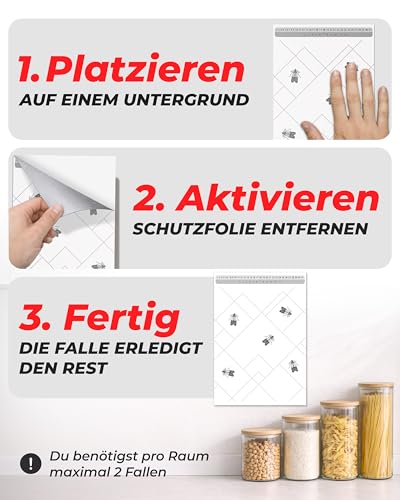 PIC Lebensmittelmotten Falle, 12 Stück Starke Pheromonfallen gegen Motten – Ansicht 4