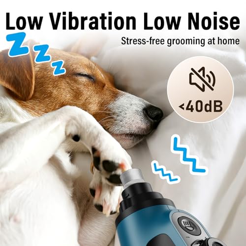 Casfuy Smarter Krallenschleifer für Hunde 6-Gang – 50% Mehr Leistung Krallenschleifer für Haustiere mit 2 LED-Leuchten, Superleise, Wiederaufladbare für Große, Mittelgroße und Kleine Hunde und Katzen