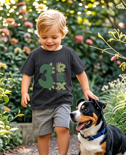 Image of Toddler Boys Girls 3rd Birthday Shirts for Baby Kids 3 Years Old Birthday Outfit for Party Short Sleeve Tshirt