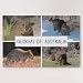 ANGELA G Wooden Jigsaw Puzzle 1000 Piece for Adults - 4-in-1 Quokka of Australia Animal, Pieces Jigsaw Puzzle Game Toys Gift Jigsaw Puzzle