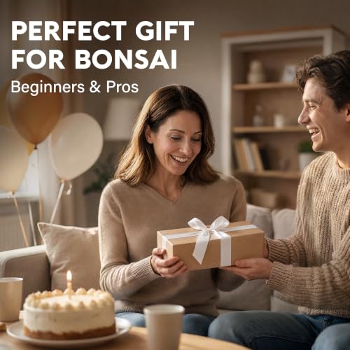 Jacaranda Bonsai Starter Kit