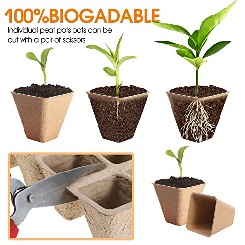 Jumlaner 100 Cells Peat Pots Seed Starter Trays Biodegradable Seed Tray 10 Packs Plant Starting Kits For Seedlings With 120 Pcs Plant Labels Nursery Pots For Gardening Vegetable Succulent House Plant #TOP3