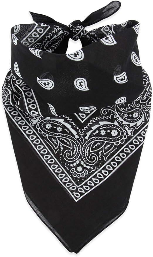 Image of SPIN CART Soft Breathable Cotton Paisley Bandana Handkerchief For Hair Head Bike For Men & Women