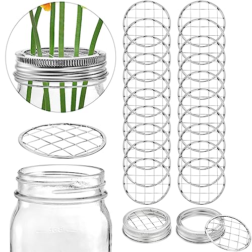 DEAYOU 20 Pack Mason Jar Flower Frog Lids, Metal Frog Lid Insert Grid, Canning Jar Metal Ring Screw Jar Band Organizer, Replacement Insert Holder Lid with Square Grids for Regular Mouth Mason Jars
