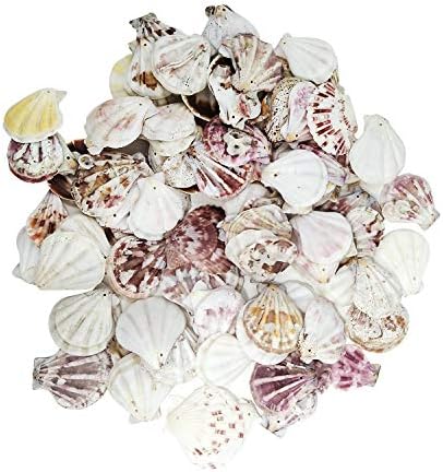 Squadare 380 Grams Dyed Scallop Beach Sea Shell Beads with Holes 1.53~1.77" (39~45mm) Length for DIY Jewelry Making Art Craft Projects-Bag of Approx 100pcs