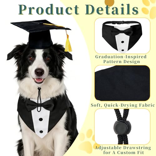 Disfraz de graduación para perro con gorro y pajarita miniatura 3