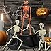 5 Packs Halloween Plastic Skeleton, 16