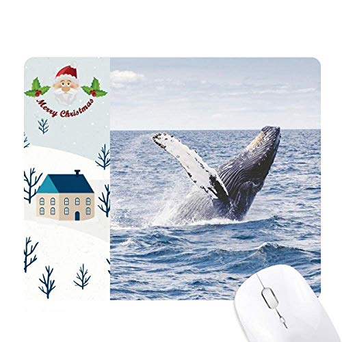 C̉Ȋw͎R̎ʐ^ T^N[XƉS̃}EXpbh