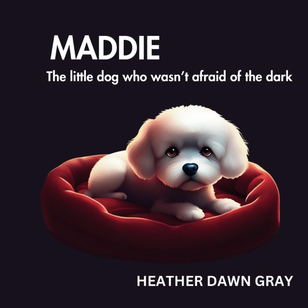 MADDIE: The little dog who wasn't afraid of the dark